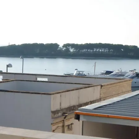 Island *